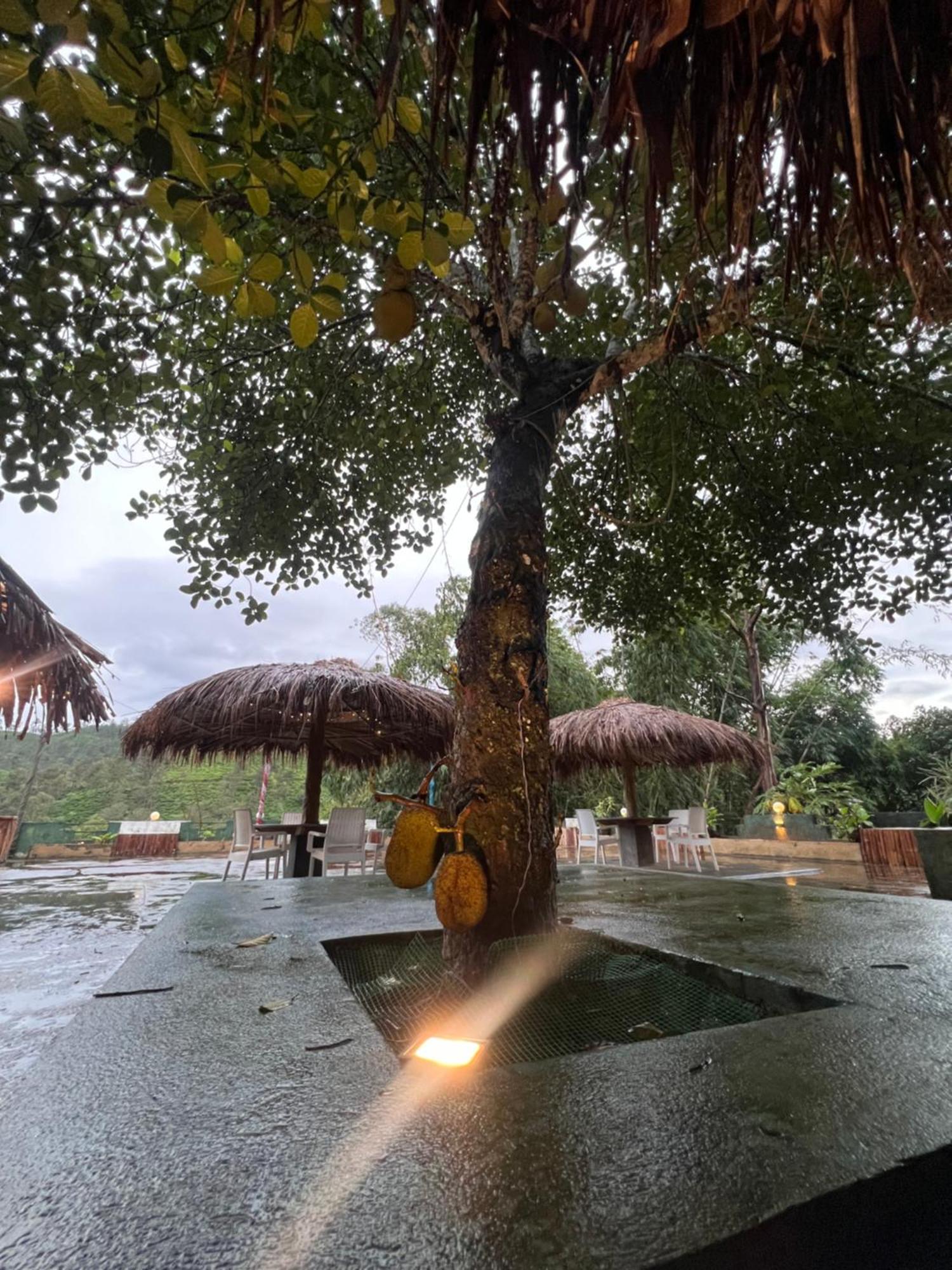 Ceylon Happy Laugh - Ella Hostel Bagian luar foto